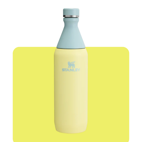 Botella All Day Slim 590 ml | Stanley